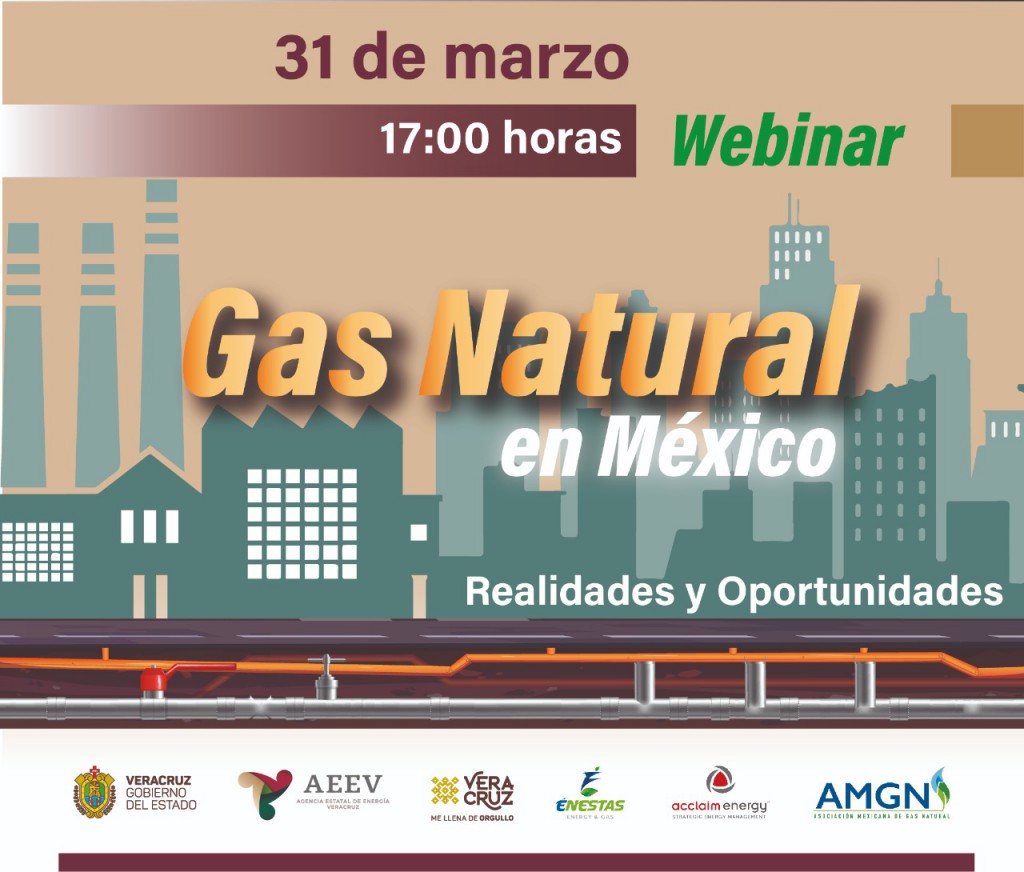 Gas Natural Publicación Redes
